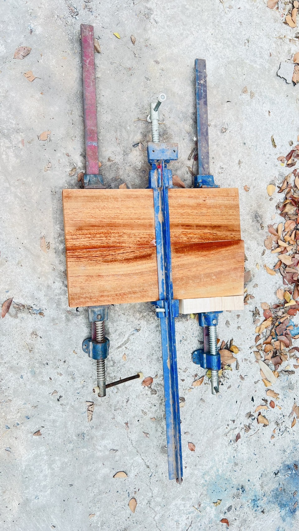 Grain Checking